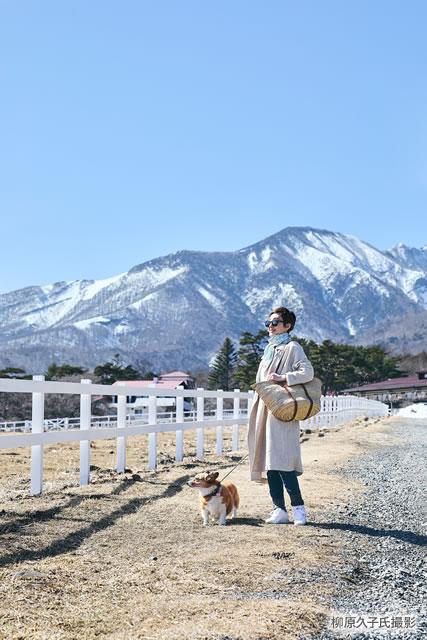八ヶ岳に移住したわけ